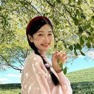 大卫的圣诞魔法